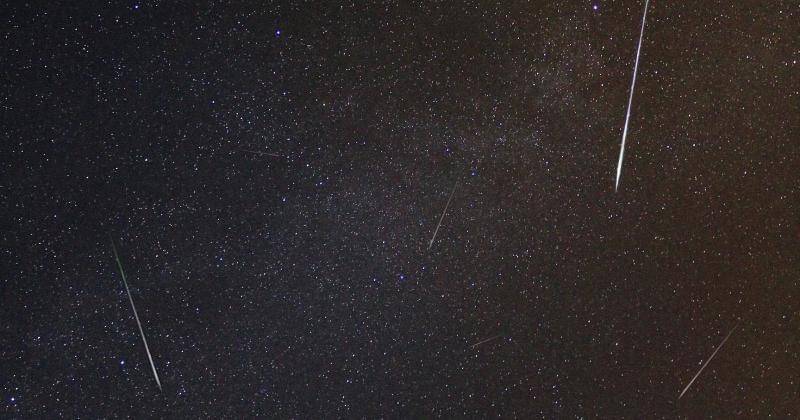 Unsplash/Prokhor Minin