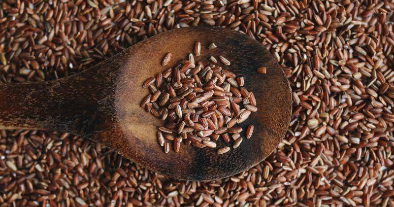 Pexels/polinatankilevitch