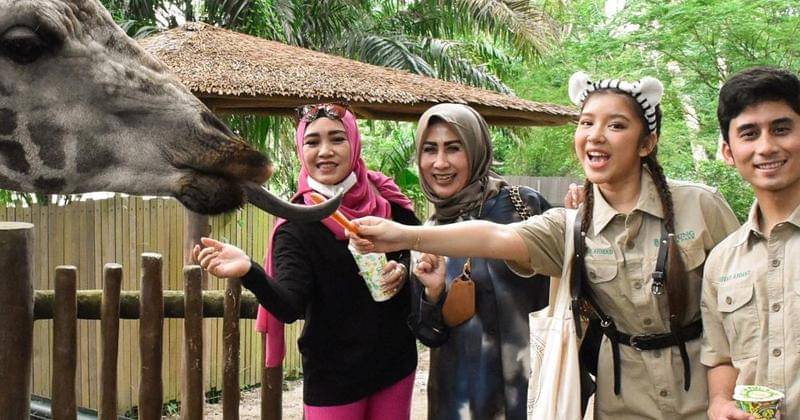 Instagram.com/alshadahmad