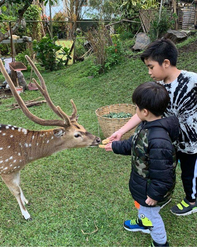 Instagram.com/citrasadiqah