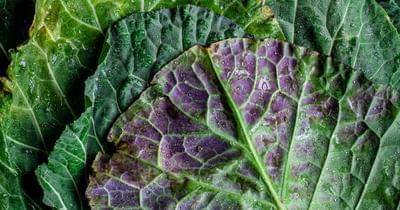 Unsplash.com/heathergill