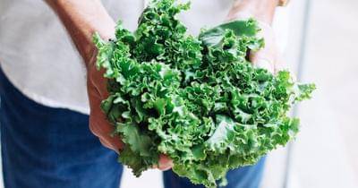 Unsplash.com/adolfofelix