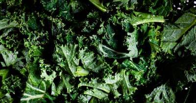 Unsplash.com/debsrainford