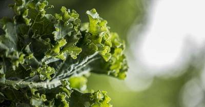 Unsplash.com/erdaest