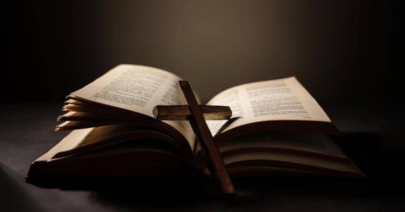 Freepik/black.salmon