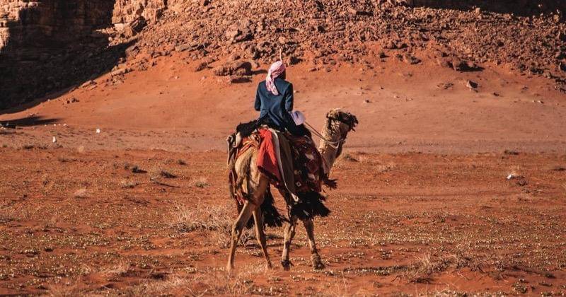 Pexels/Jose Aragones