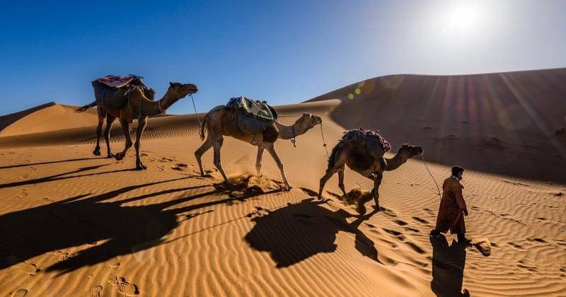 Pexels/Sergey Pesterev