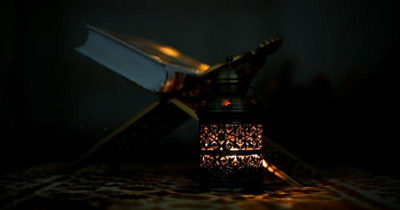 Pexels/mohammad ramezani