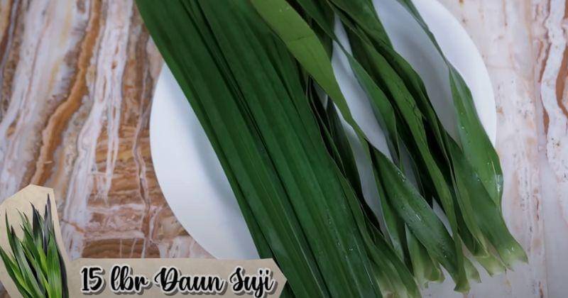 Youtube.com/Jessica Jane