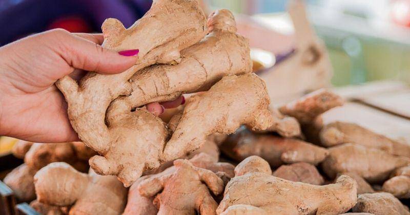 Freepik/dragana-gordic