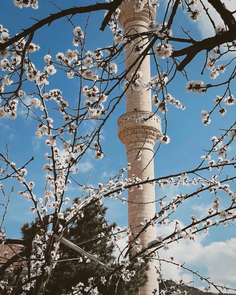 Instagram.com/Anyageraldine