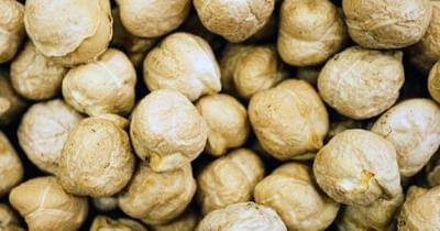 Unsplash.com/paoalchapar