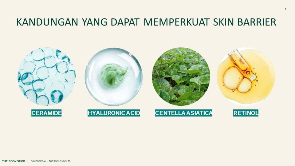 Kandungan skincare yang dapat memperkuat skin barrier - Dok. IDN Media