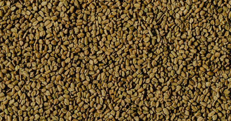 Pexels/ Eva Bronzini