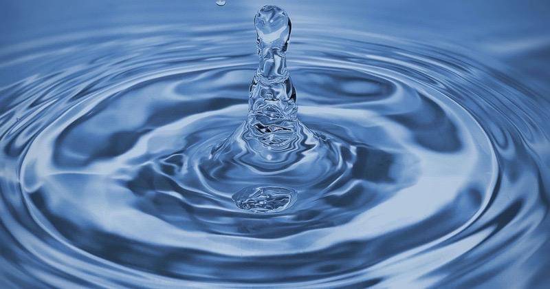 Pexels/Aleksandr Slobodianyk