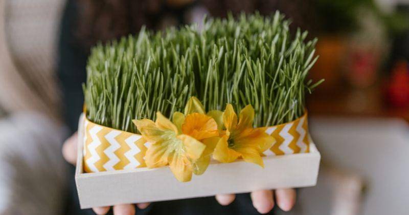 Pexels/Rodane Productions