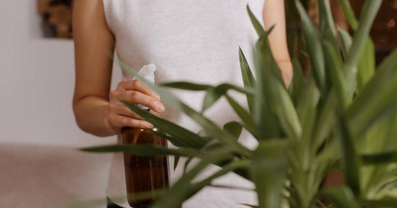 Pexels/cottonbro studio