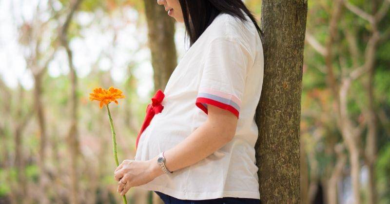 Unsplash/paullin1210