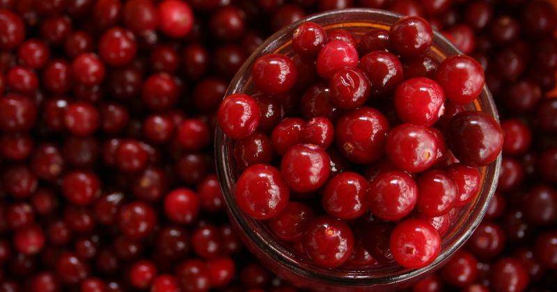 Pexels/Irita Antonevica