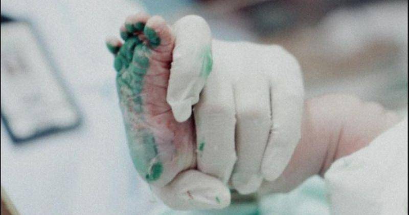 Instagram.com/dindazani