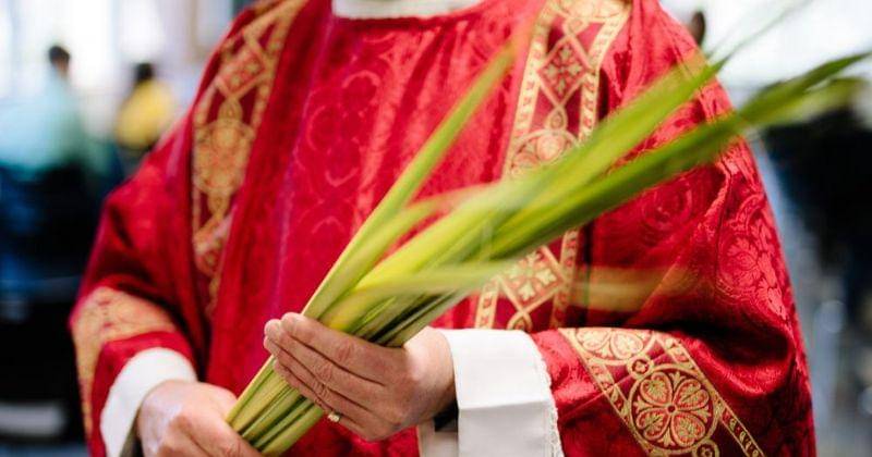 Unsplash/Grant Whitty