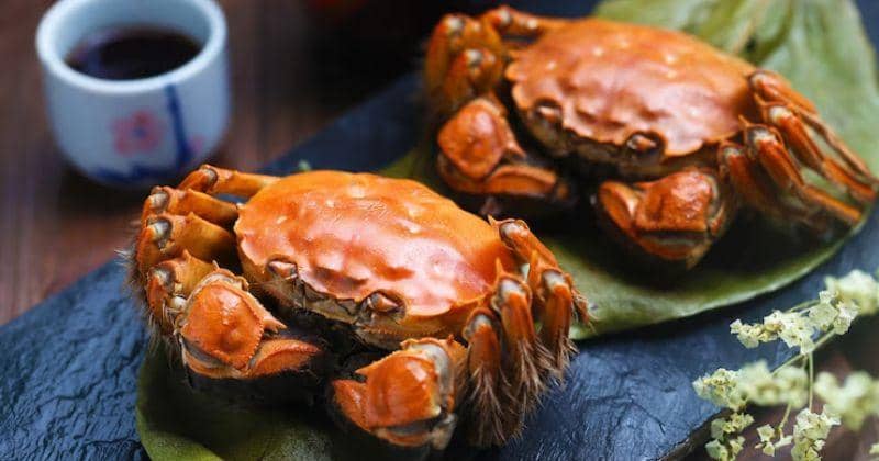 7 Manfaat Kepiting bagi Kesehatan Ibu Hamil