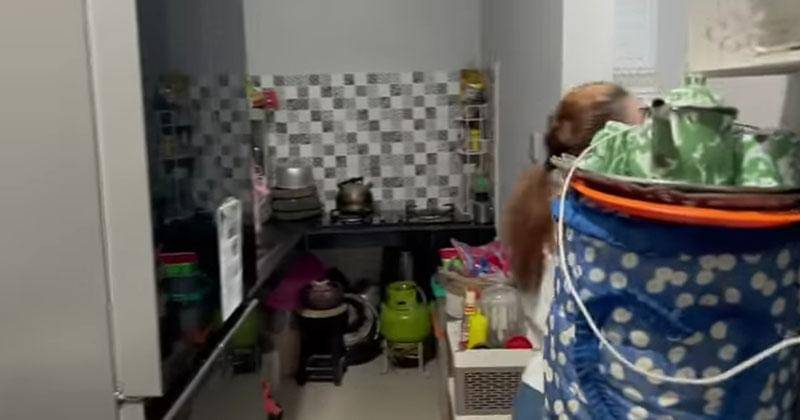 YouTube.com/mpok alpa chanel