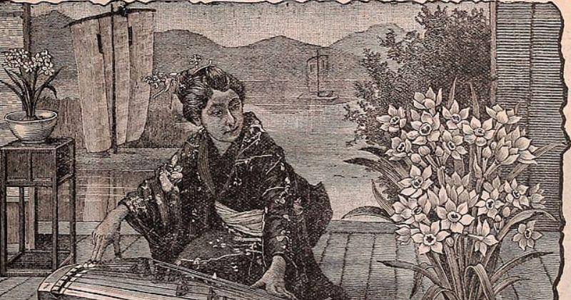 commons.wikimedia.org