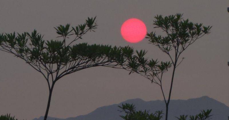 Pexels/Fredric Lee Phillips