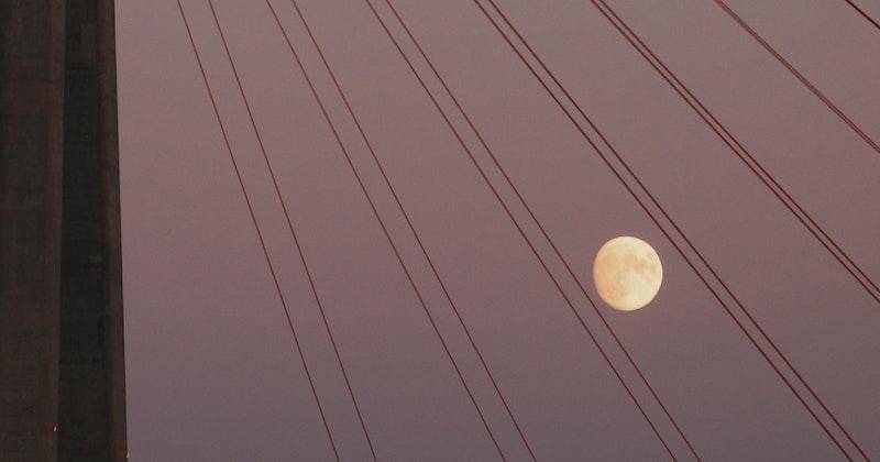 Pexels/Yulia Pribytkova