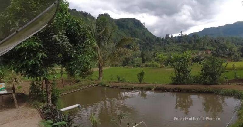 Youtube.com/Hardi ArtVenture