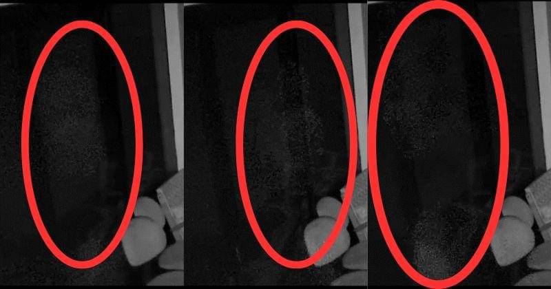 Instagram.com/inijedar