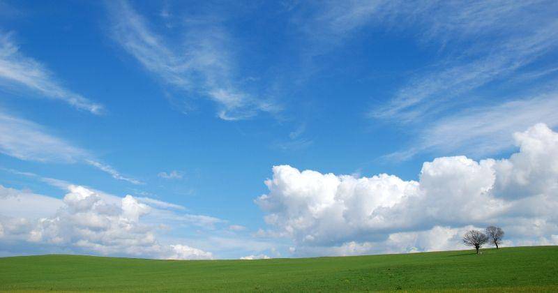 Unsplash/Carmine Savarese