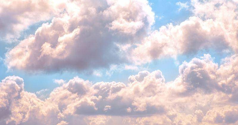 Unsplash/Billy Huynh