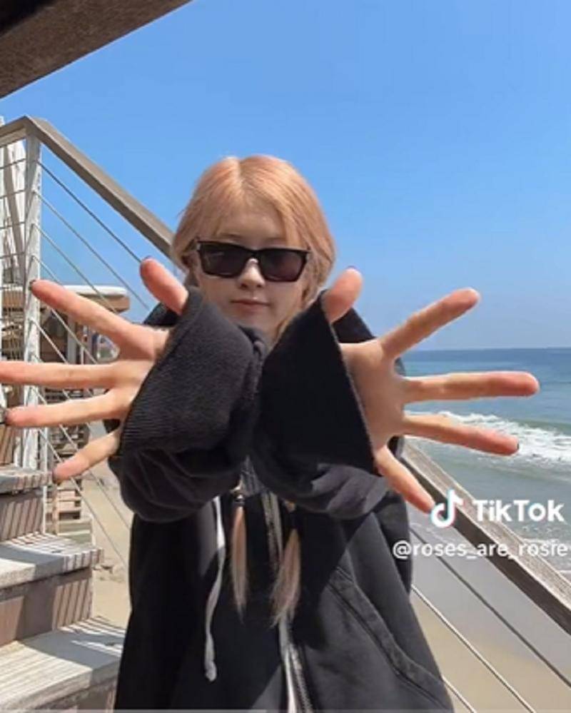 tiktok.com/roses_are_rosie