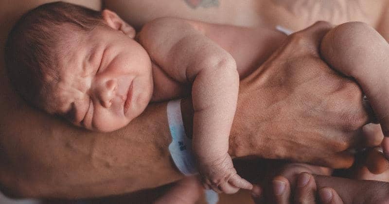 Pexels/Craig Adderley