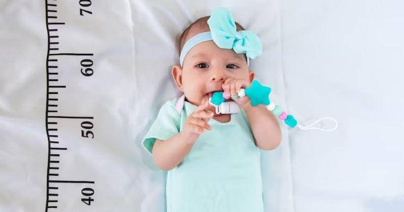 Freepik/Mariaprovector