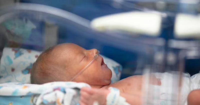 Ilustrasi - Freepik/Aspsvz