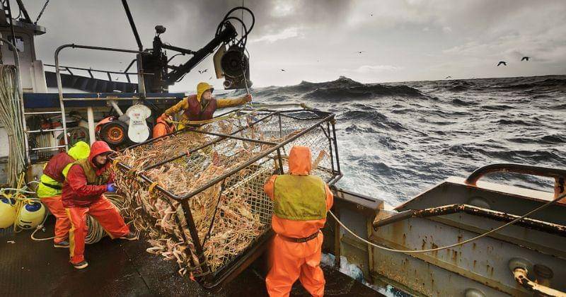 Dok. National Fisherman