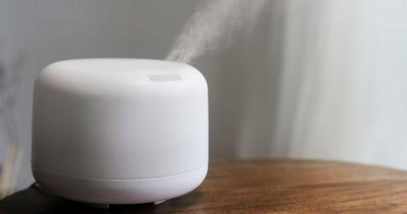 Freepik/Rawpixel.com