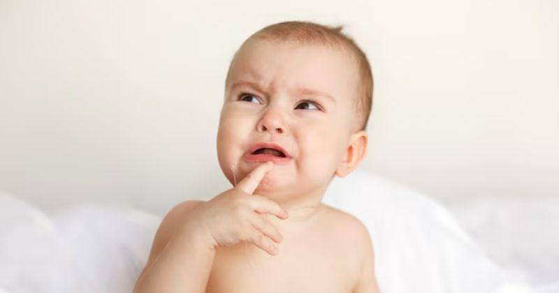 Freepik/Cookie_studio