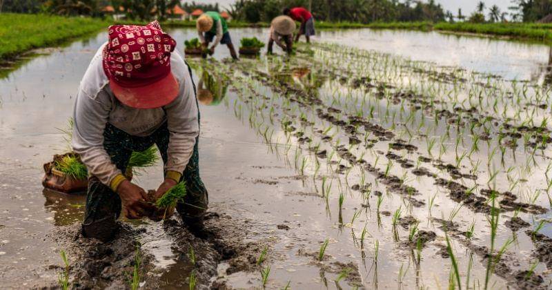 Unsplash/Tim Shepherd