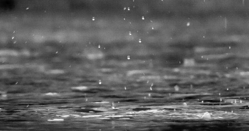 Unsplash/reza shayestehpour