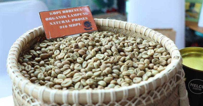 diskominfotik.lampungprov.go.id