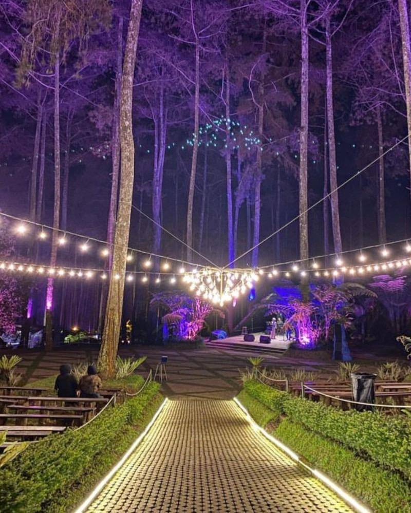 Instagram.com/orchidforestcikole