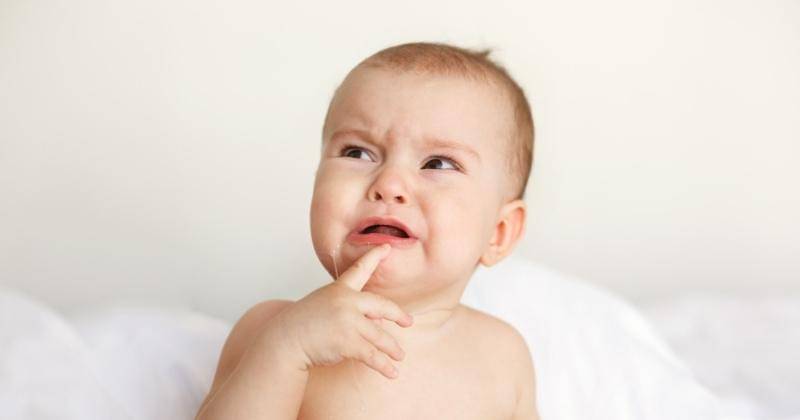 Freepik/cookie-studio