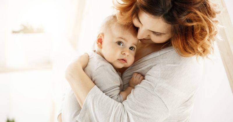 Freepik/cookie_studio