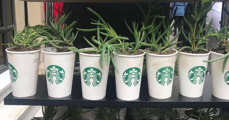 Unsplash/Guido Coppa