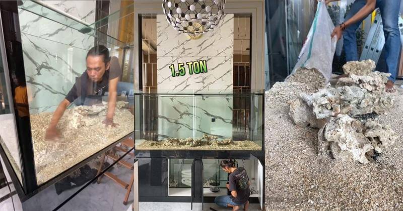 Instagram.com/dr.richard_lee