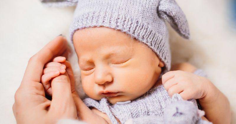 Freepik/freepic.diller